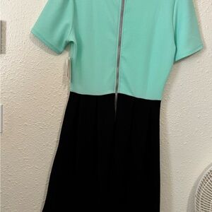 LuLaRoe Mint and Black Dress